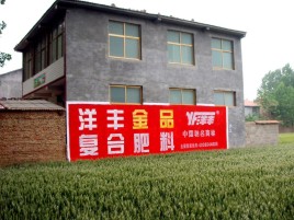 大荔县如何让墙体广告展现最大化效果