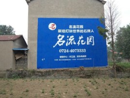 大荔县农村墙体广告的长尾效应