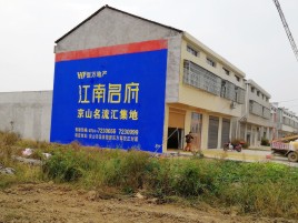 大荔县农村墙体广告在不同形式上面展现的不同特色