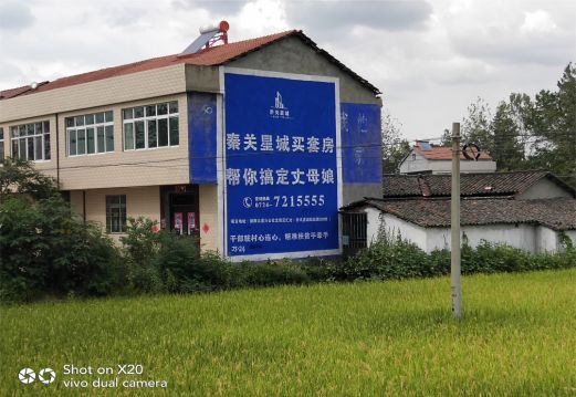 大荔县决定墙体广告价格的因素有哪些?