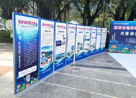 大荔县KT板的种类和知识。